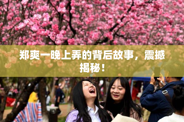 郑爽一晚上弄的背后故事，震撼揭秘！