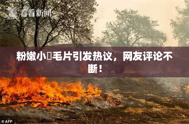 粉嫩小泬毛片引发热议，网友评论不断！