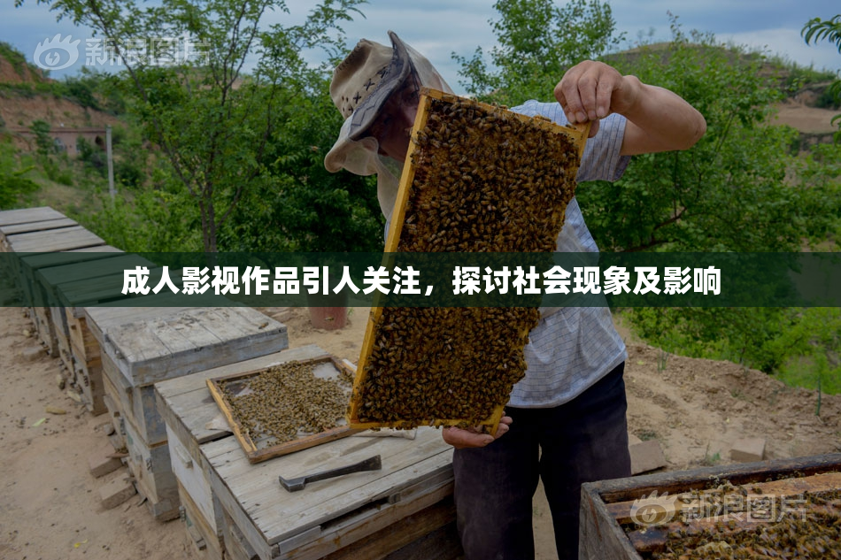 成人影视作品引人关注，探讨社会现象及影响
