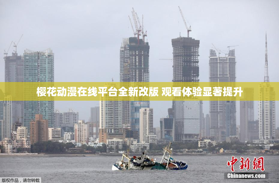 樱花动漫在线平台全新改版 观看体验显著提升