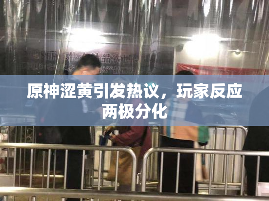 原神涩黄引发热议，玩家反应两极分化