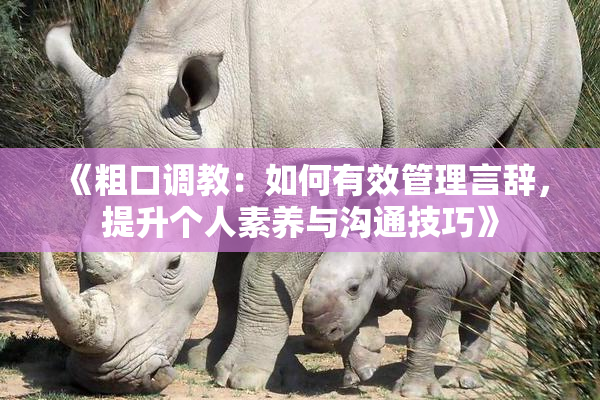 《粗口调教：如何有效管理言辞，提升个人素养与沟通技巧》