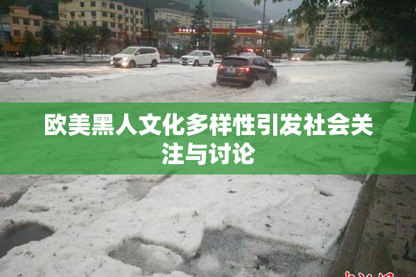 欧美黑人文化多样性引发社会关注与讨论