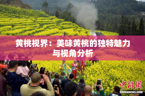 黄桃视界：美味黄桃的独特魅力与视角分析
