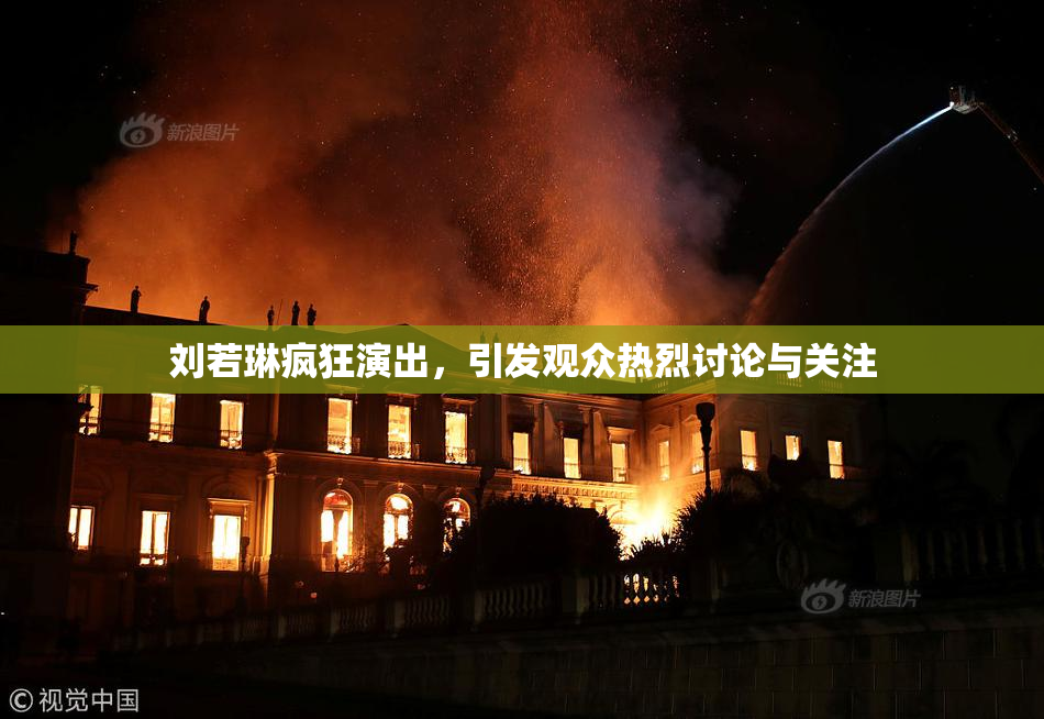 刘若琳疯狂演出，引发观众热烈讨论与关注