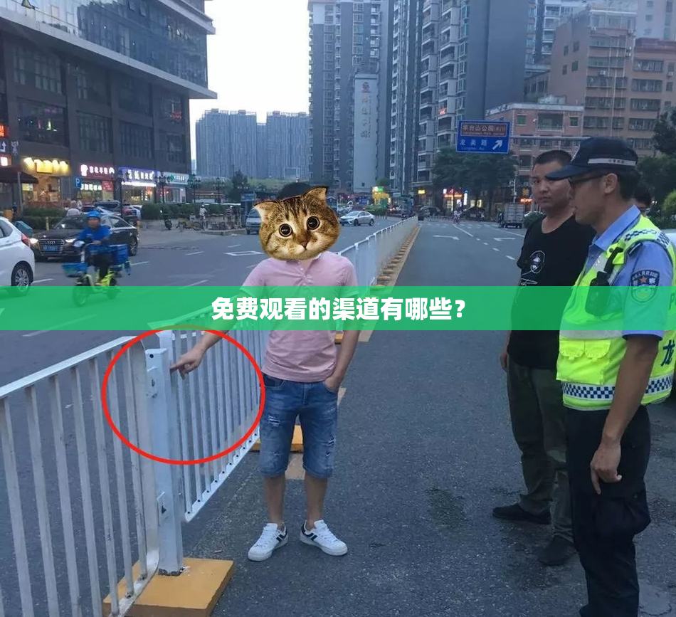 免费观看的渠道有哪些？