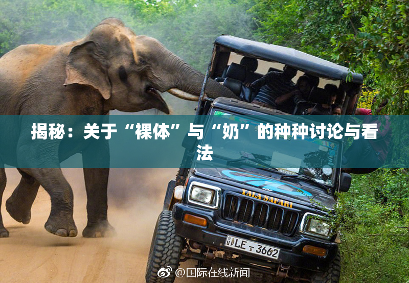 揭秘：关于“裸体”与“奶”的种种讨论与看法