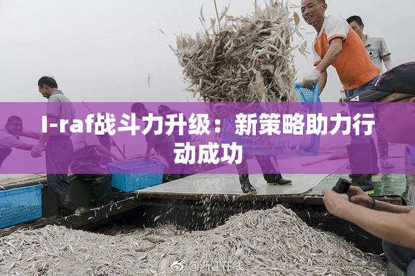 I-raf战斗力升级：新策略助力行动成功