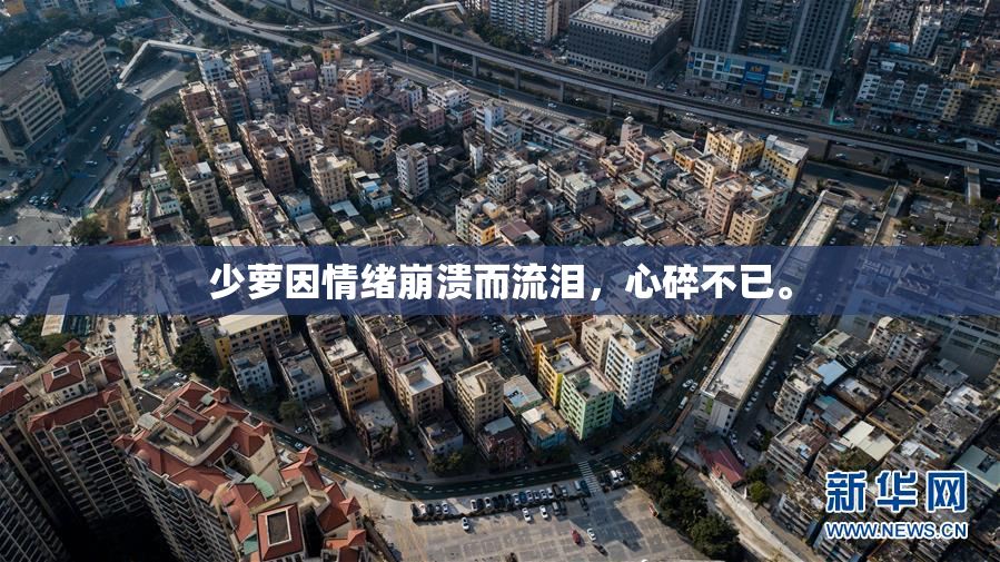 少萝因情绪崩溃而流泪，心碎不已。