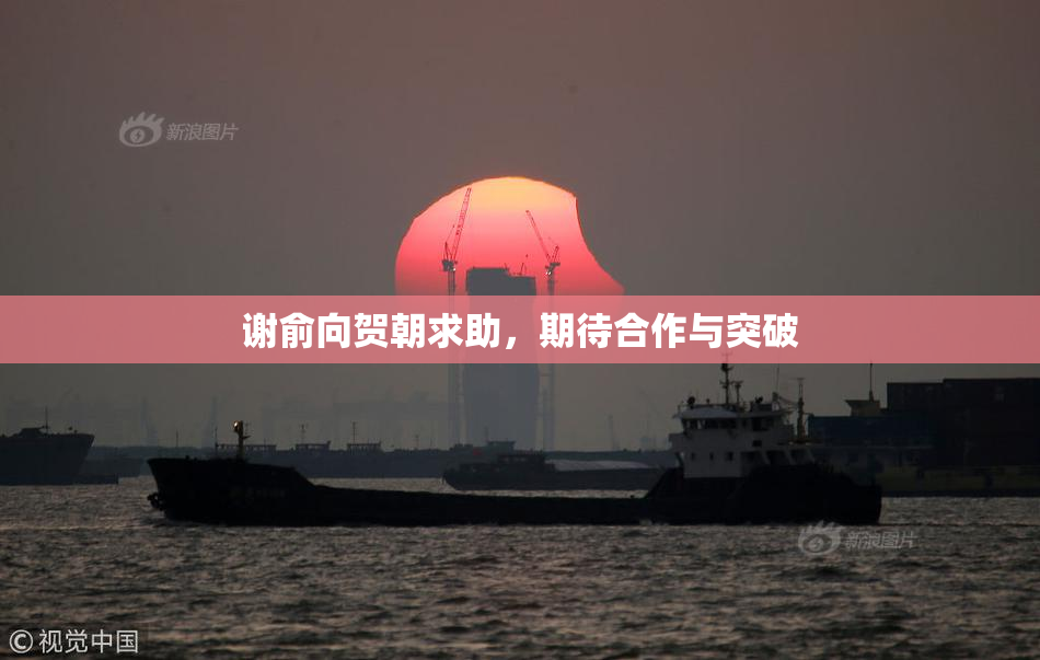 谢俞向贺朝求助，期待合作与突破