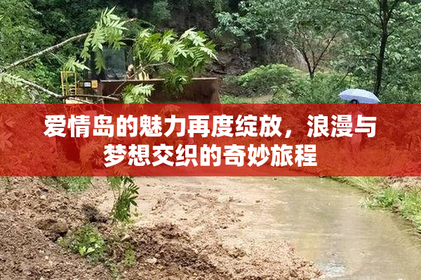 爱情岛的魅力再度绽放，浪漫与梦想交织的奇妙旅程
