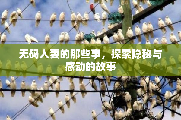 无码人妻的那些事，探索隐秘与感动的故事