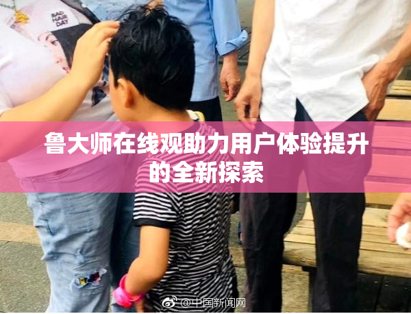 鲁大师在线观助力用户体验提升的全新探索