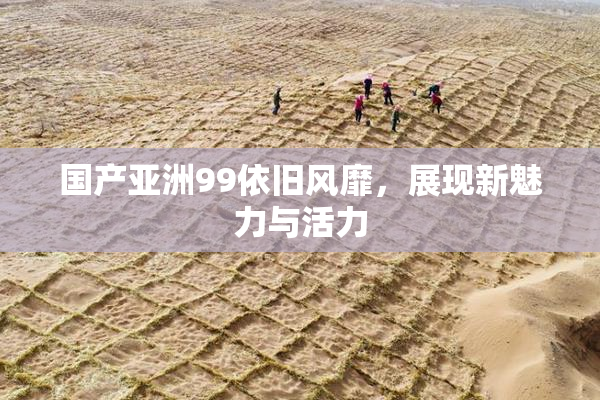 国产亚洲99依旧风靡，展现新魅力与活力