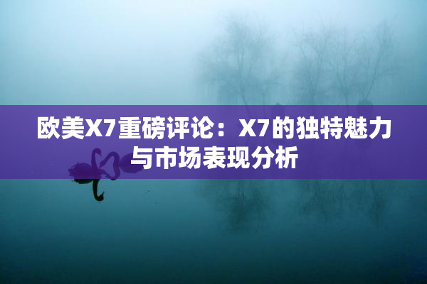 欧美X7重磅评论：X7的独特魅力与市场表现分析