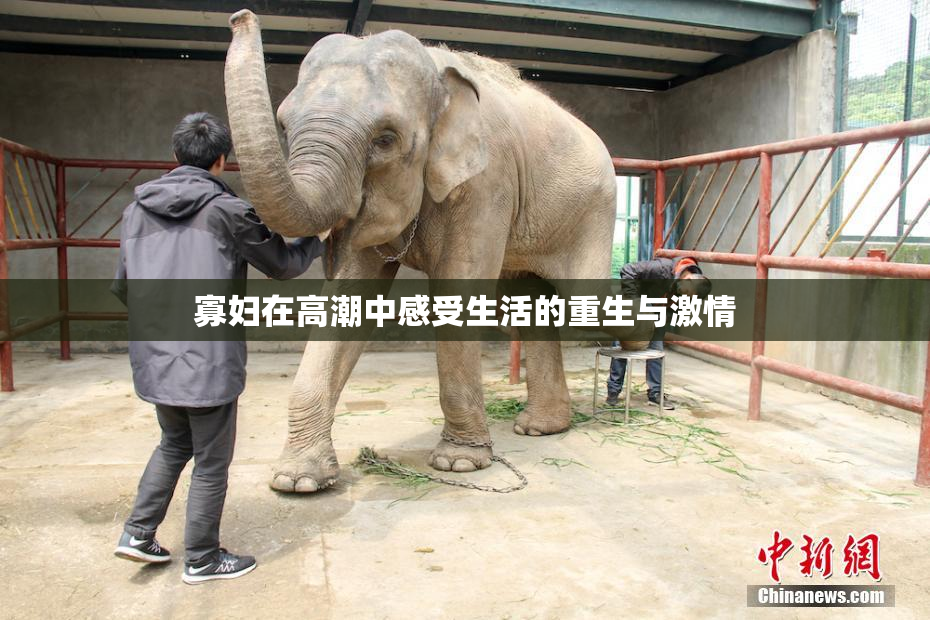 寡妇在高潮中感受生活的重生与激情