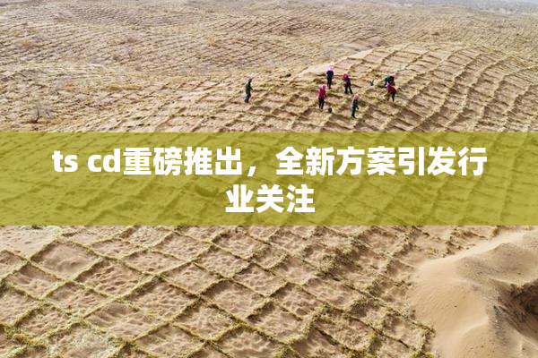 ts cd重磅推出，全新方案引发行业关注