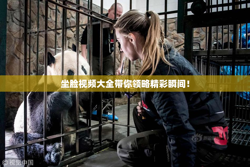 坐脸视频大全带你领略精彩瞬间！