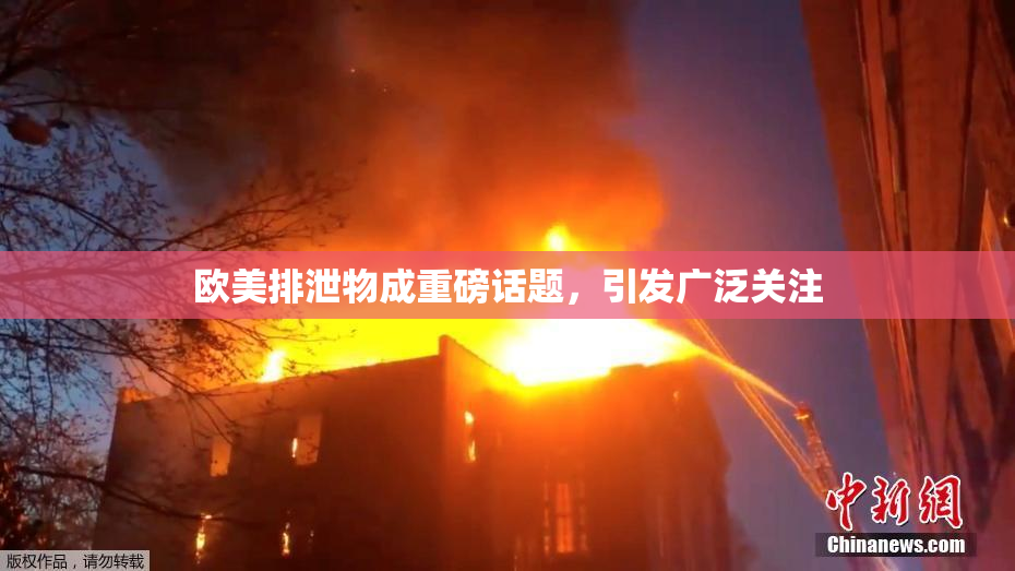 欧美排泄物成重磅话题，引发广泛关注