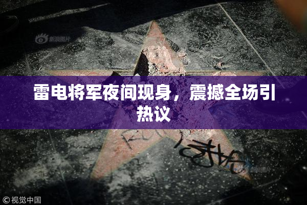雷电将军夜间现身，震撼全场引热议