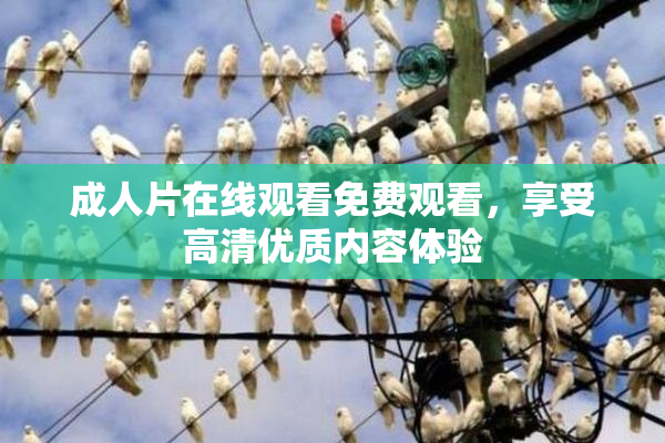 成人片在线观看免费观看，享受高清优质内容体验