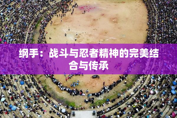 纲手：战斗与忍者精神的完美结合与传承