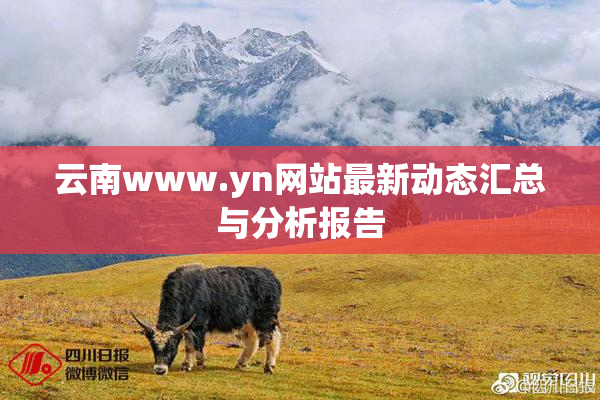 云南www.yn网站最新动态汇总与分析报告