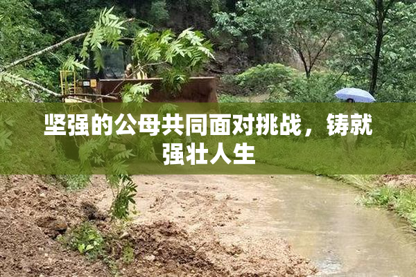 坚强的公母共同面对挑战，铸就强壮人生
