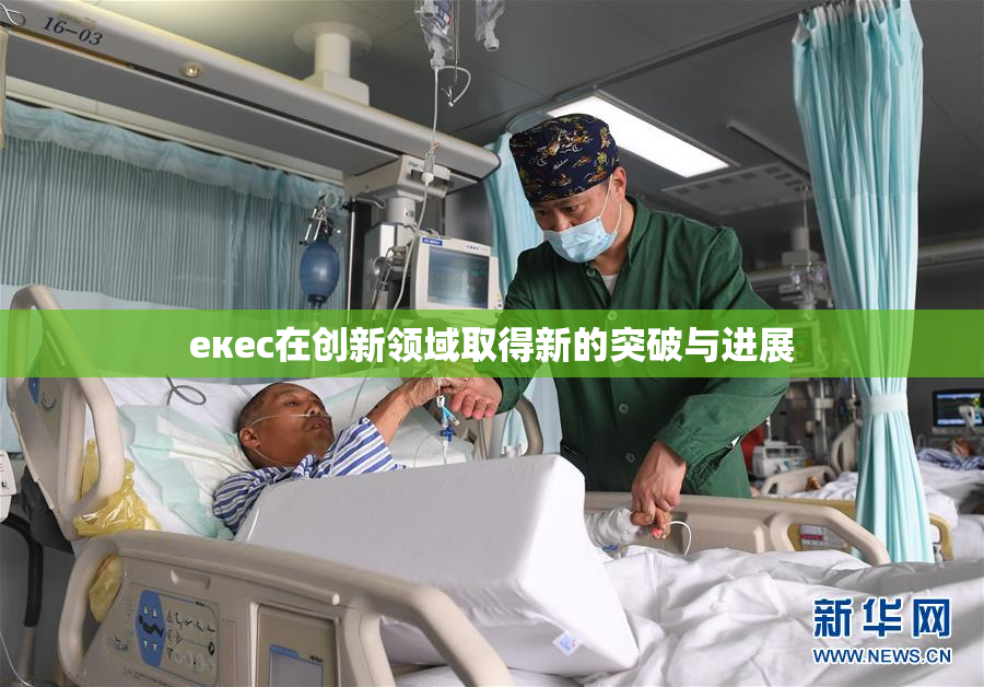 екес在创新领域取得新的突破与进展