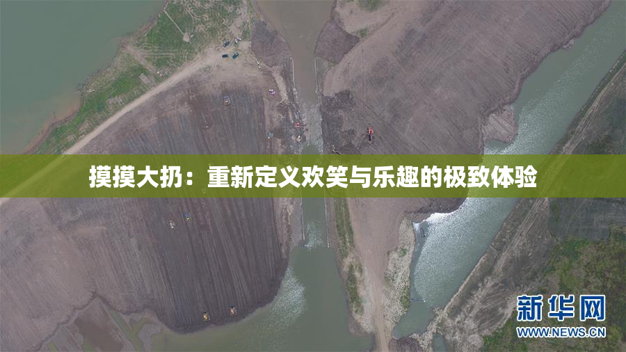摸摸大扔：重新定义欢笑与乐趣的极致体验