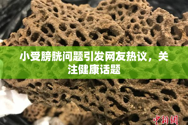 小受膀胱问题引发网友热议，关注健康话题
