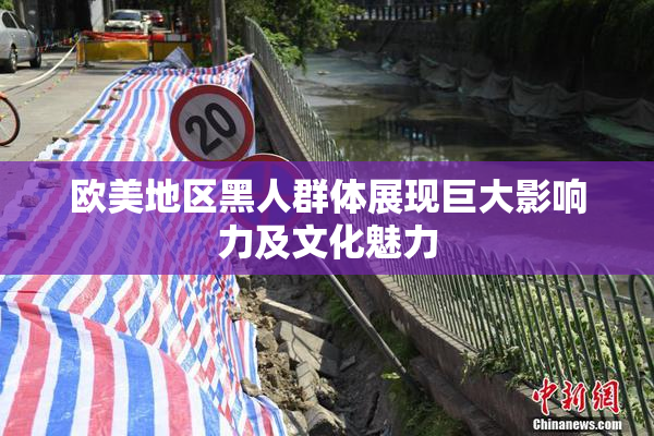 欧美地区黑人群体展现巨大影响力及文化魅力