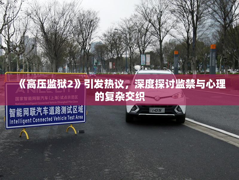 《高压监狱2》引发热议，深度探讨监禁与心理的复杂交织