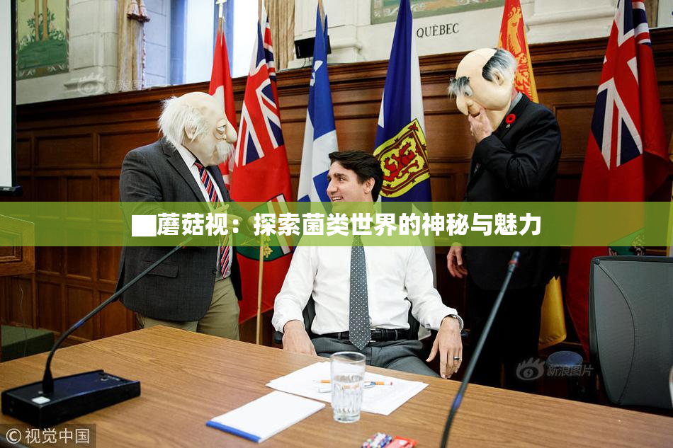 ▇蘑菇视：探索菌类世界的神秘与魅力