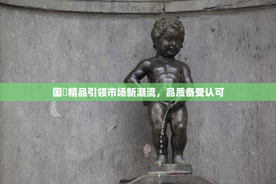 国產精品引领市场新潮流，品质备受认可