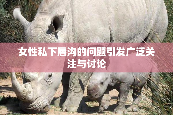 女性私下唇沟的问题引发广泛关注与讨论