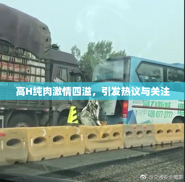 高H纯肉激情四溢，引发热议与关注