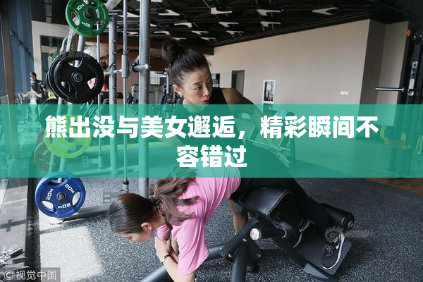 熊出没与美女邂逅，精彩瞬间不容错过