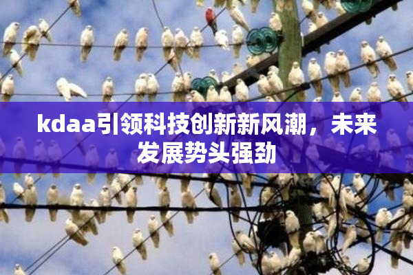 kdaa引领科技创新新风潮，未来发展势头强劲