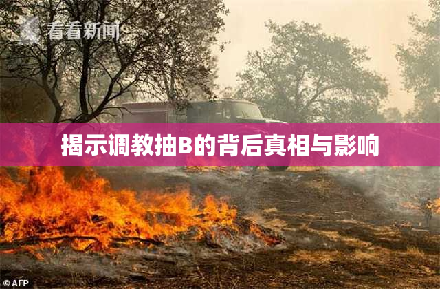 揭示调教抽B的背后真相与影响
