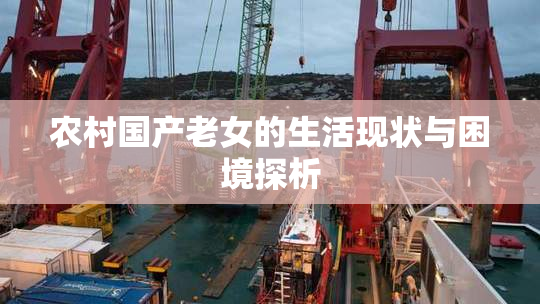 农村国产老女的生活现状与困境探析