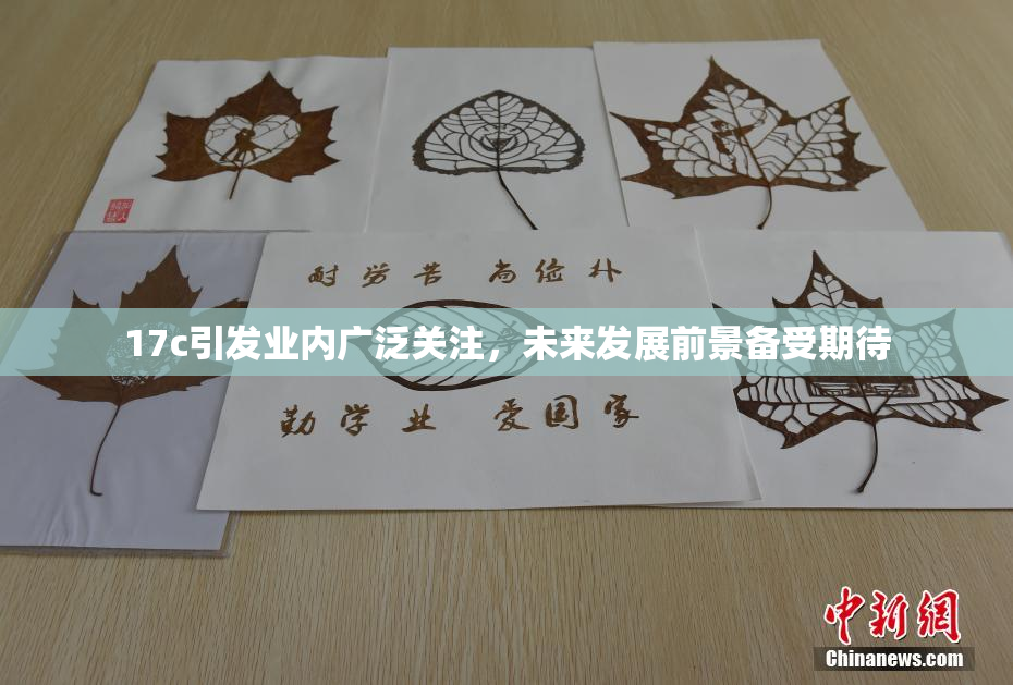 17c引发业内广泛关注，未来发展前景备受期待