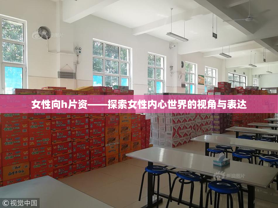 女性向h片资——探索女性内心世界的视角与表达