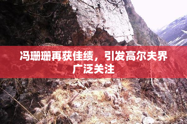 冯珊珊再获佳绩，引发高尔夫界广泛关注