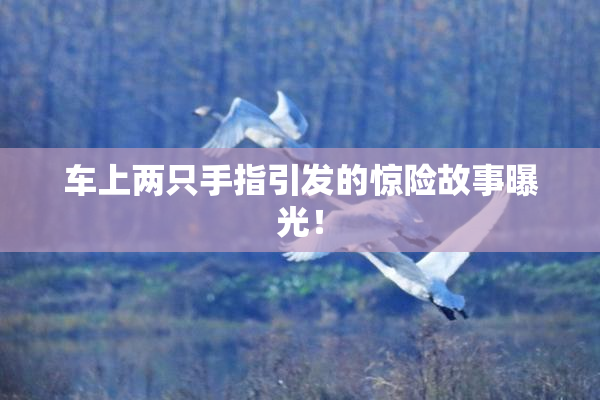 车上两只手指引发的惊险故事曝光！
