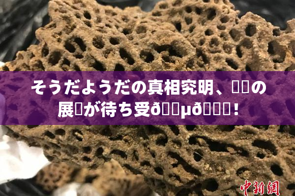 そうだようだの真相究明、衝撃の展開が待ち受🈵🌃！