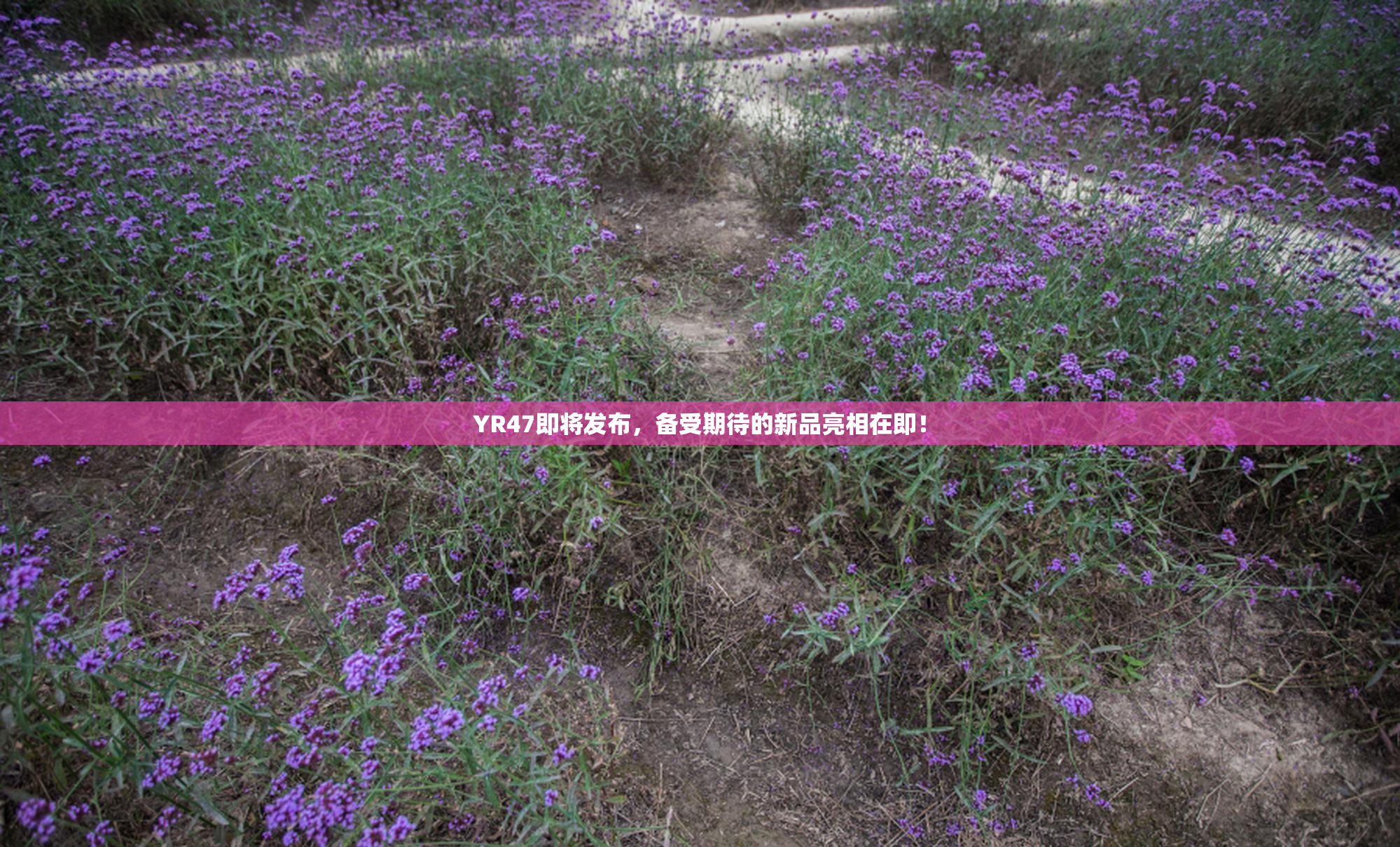 YR47即将发布，备受期待的新品亮相在即！