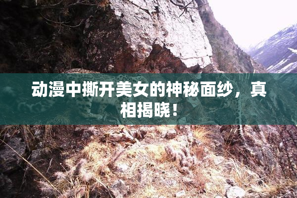 动漫中撕开美女的神秘面纱，真相揭晓！
