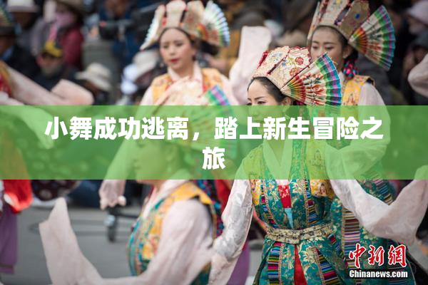 小舞成功逃离，踏上新生冒险之旅