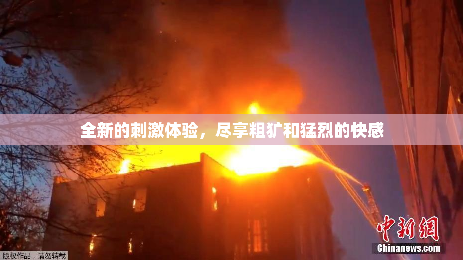 全新的刺激体验，尽享粗犷和猛烈的快感